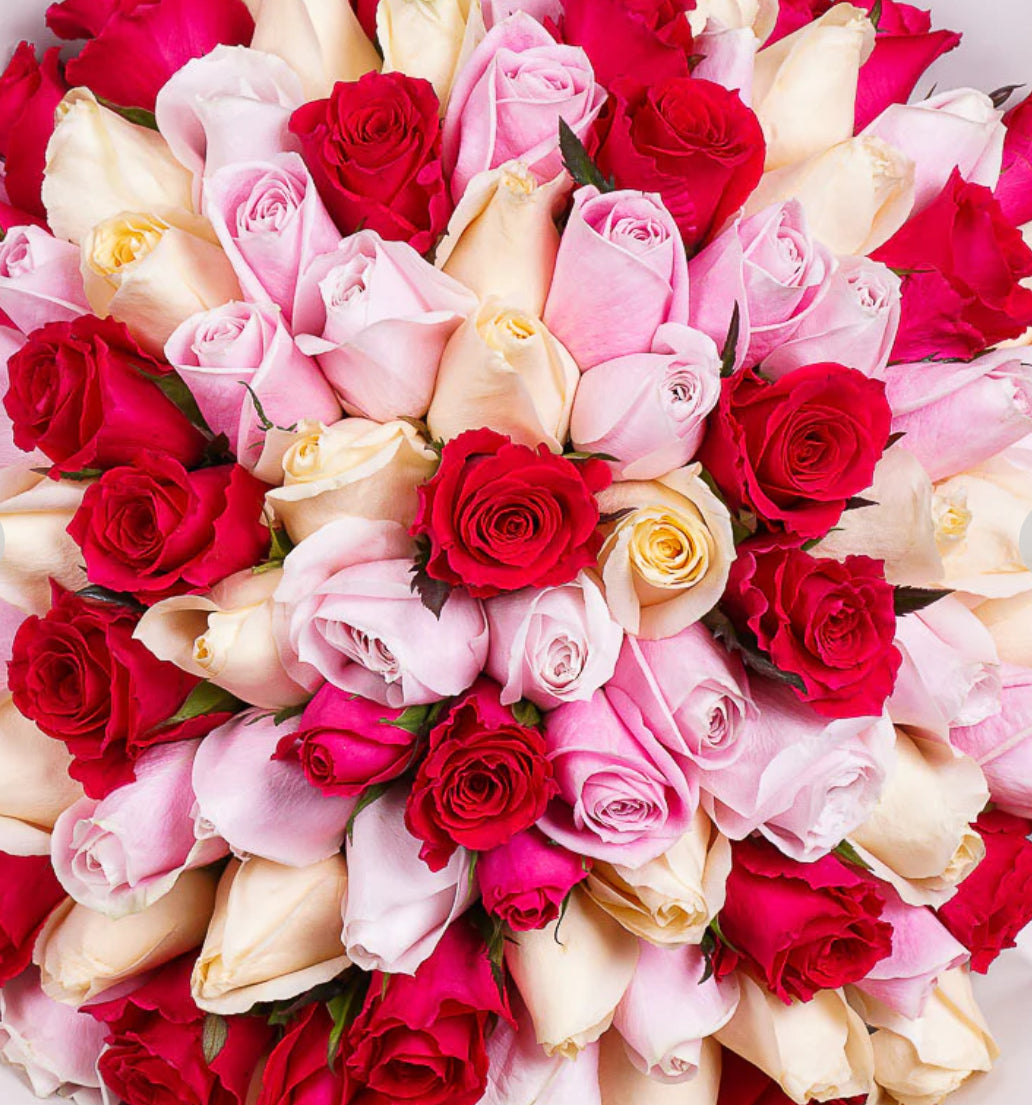 99 Roses - Bright Spark