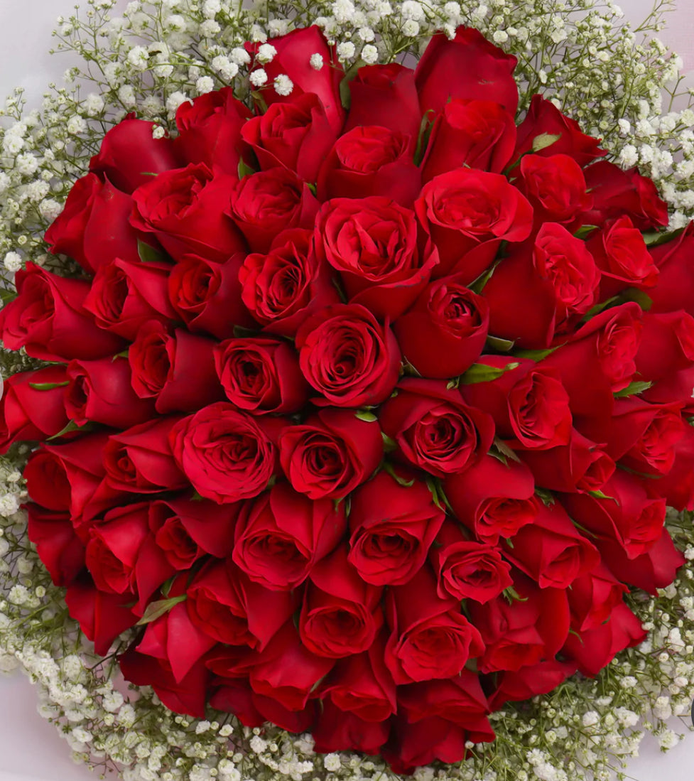 66 Red Roses Bouquet